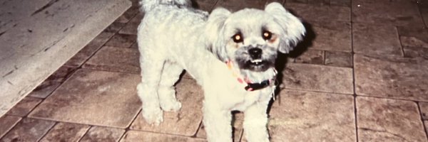 AveryBa68752542 Profile Banner