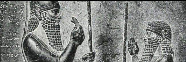 msfish11's profile banner image