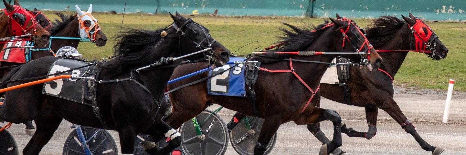 Buffalo Raceway banner