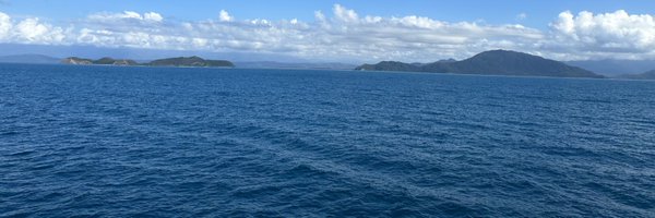 SunFlowerJGW Profile Banner