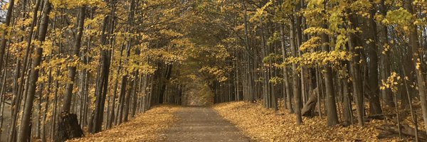 fabbro_a Profile Banner