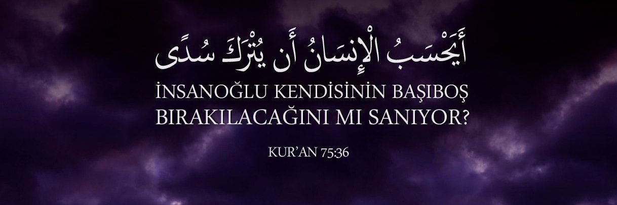 Recep Ersin Akın banner