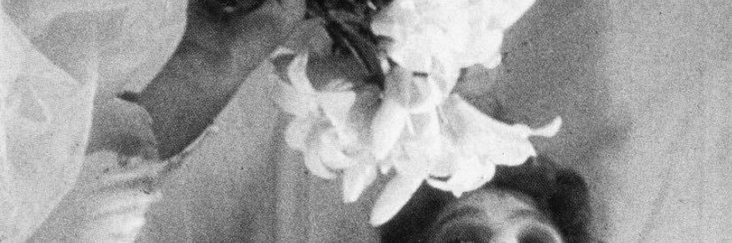 somiah1A's profile banner image