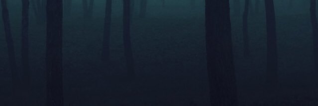 Gin banner