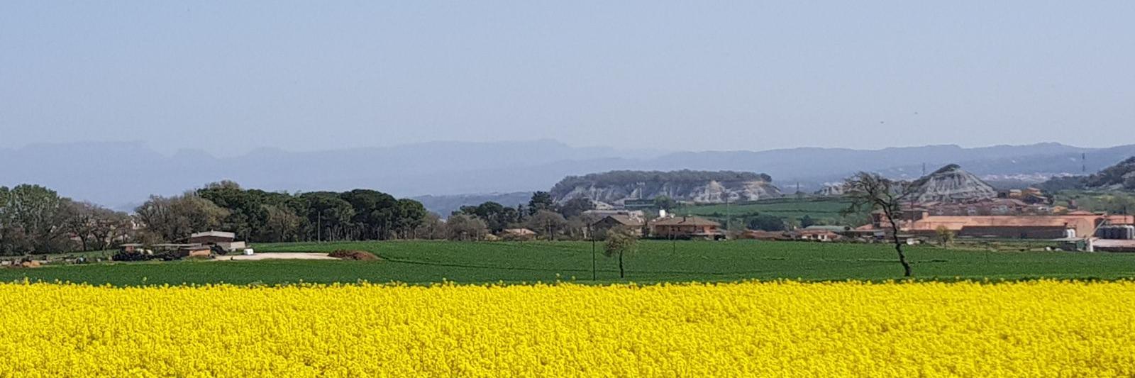 l'oucomballa 1-O banner