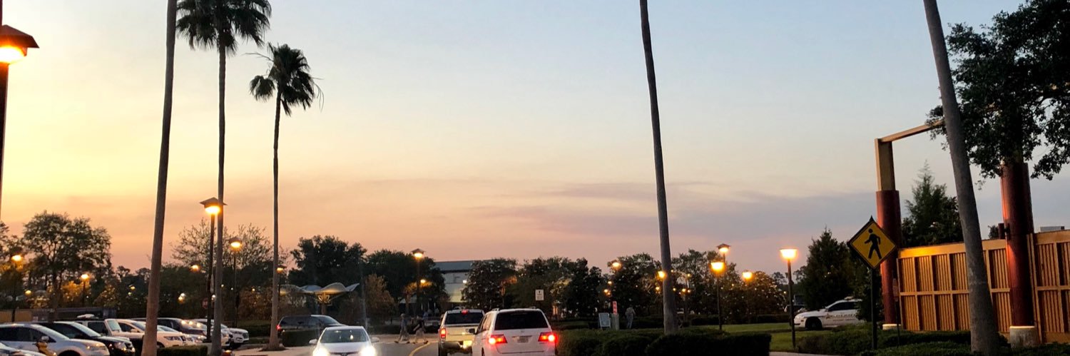 lindsay everson banner