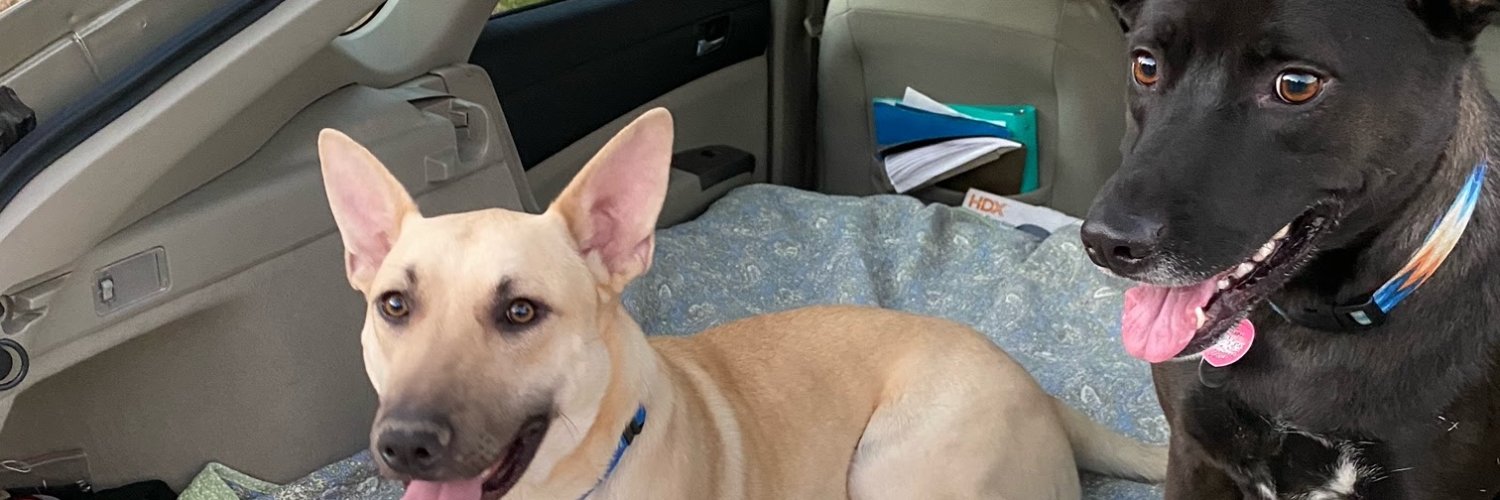 Marissa Bartmess, PhD, RN banner