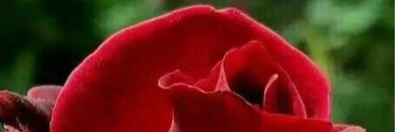 almazn101's profile banner image