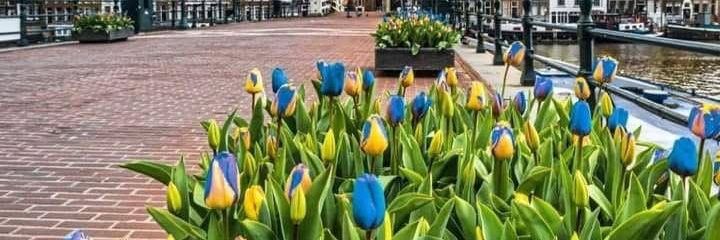 EP supporting 🇺🇦 banner