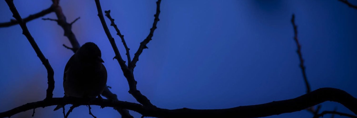 julieberetti_'s profile banner image