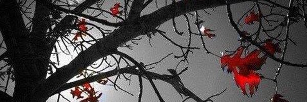 DaelynMorgana Profile Banner