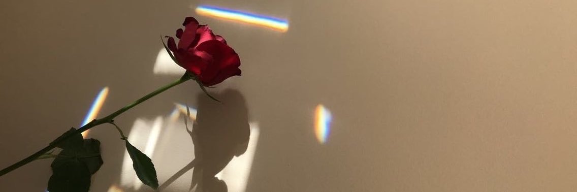 nodata52's profile banner image