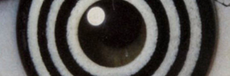 yasmin banner