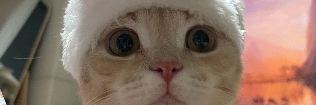 carenemiah's profile banner image