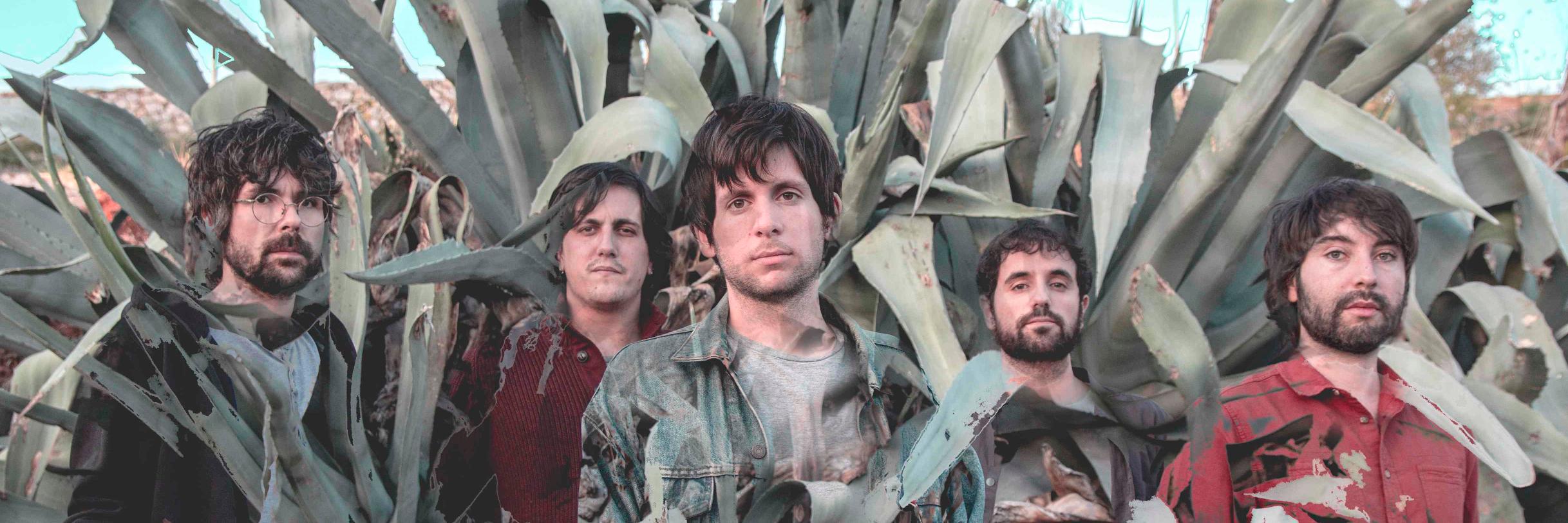 Pájaro Jack banner