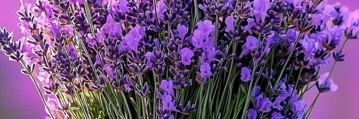 حسن ال دعياء banner