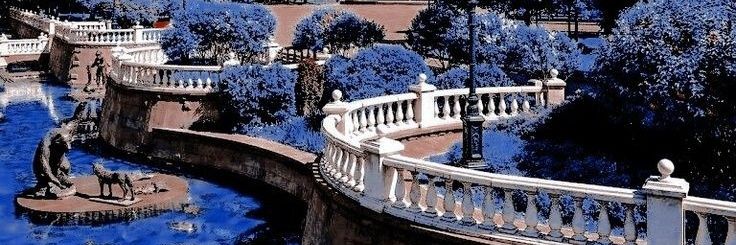 Dandelion_bon's profile banner image