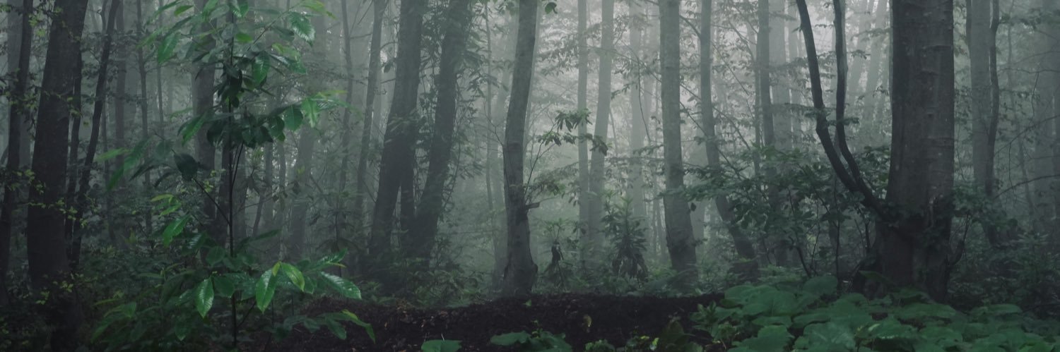 autumn 🧚🏼 banner
