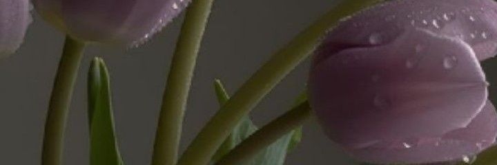 aemarza's profile banner image
