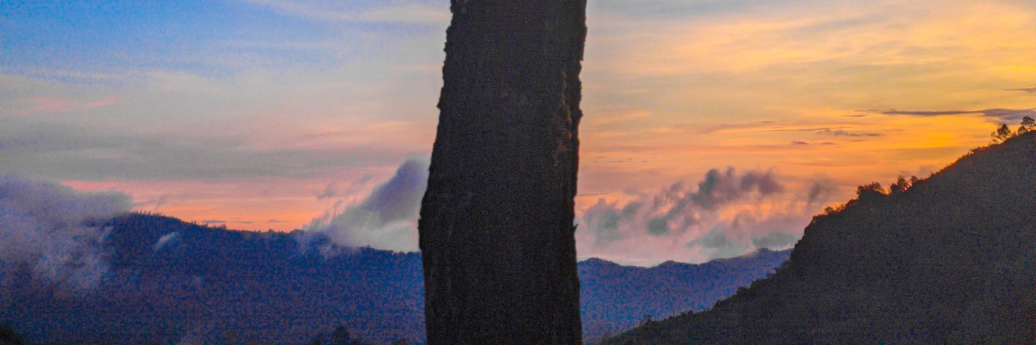 Denissetianta's profile banner image