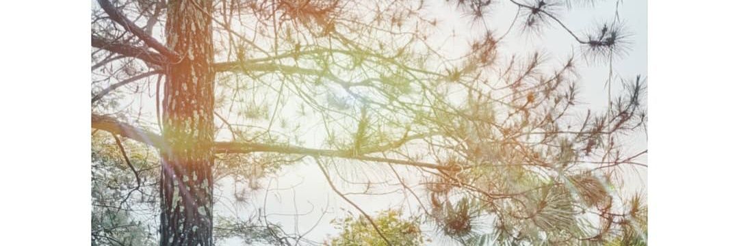 aniliani98's profile banner image