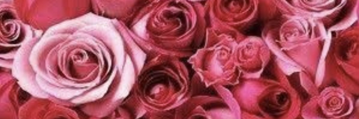 naa_pun's profile banner image