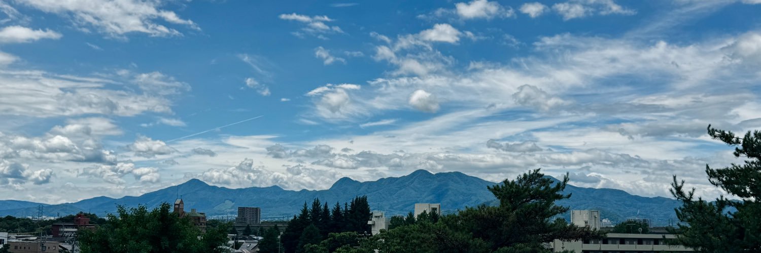 nomuraminako's profile banner image