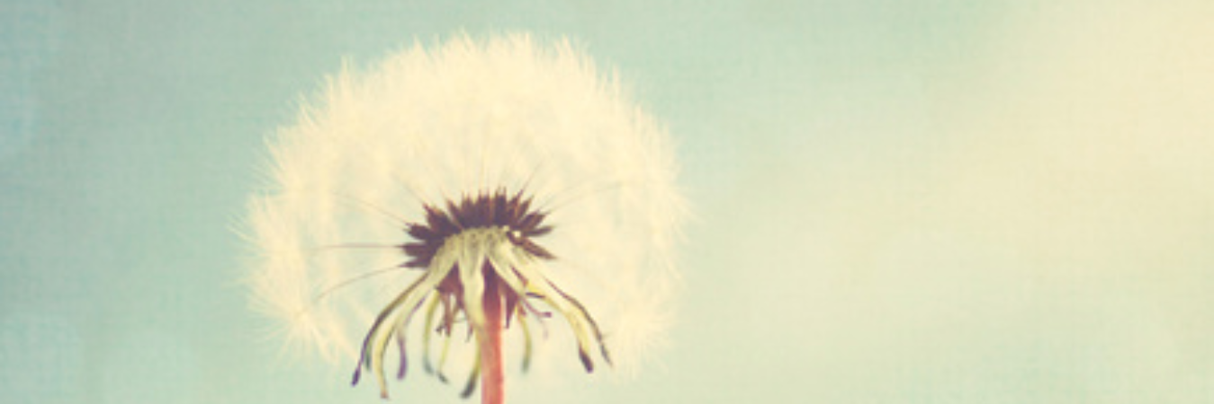 gemalapradipta's profile banner image
