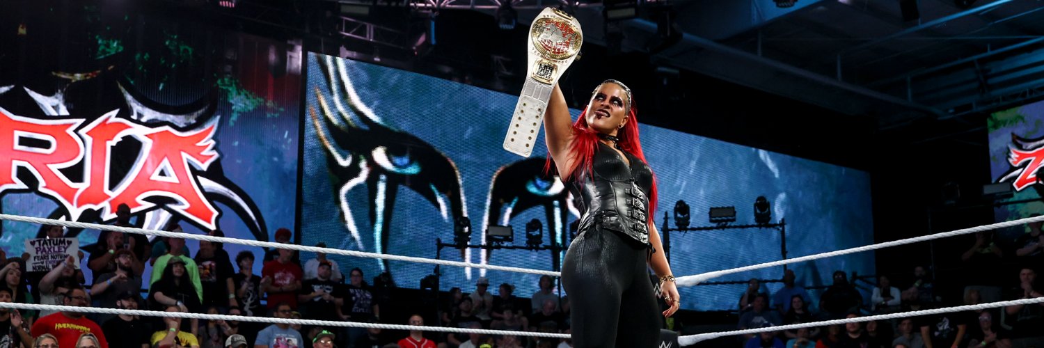 WWE NXT banner