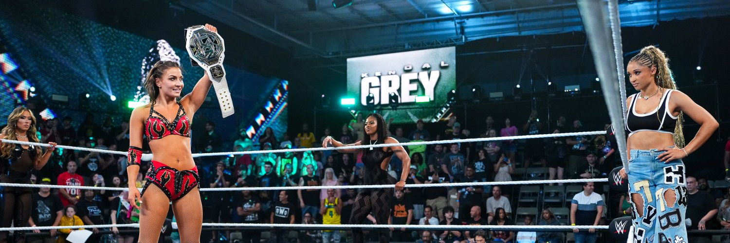 WWE NXT banner