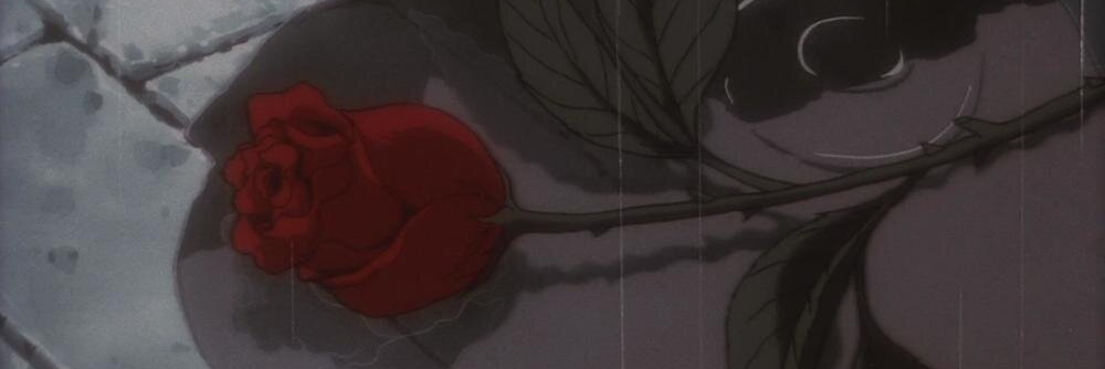 Corteoaddict's profile banner image