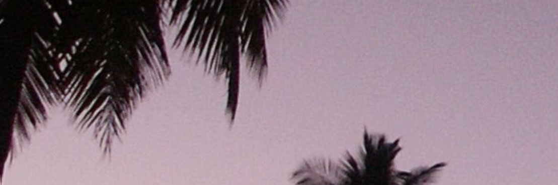 whippyyy's profile banner image