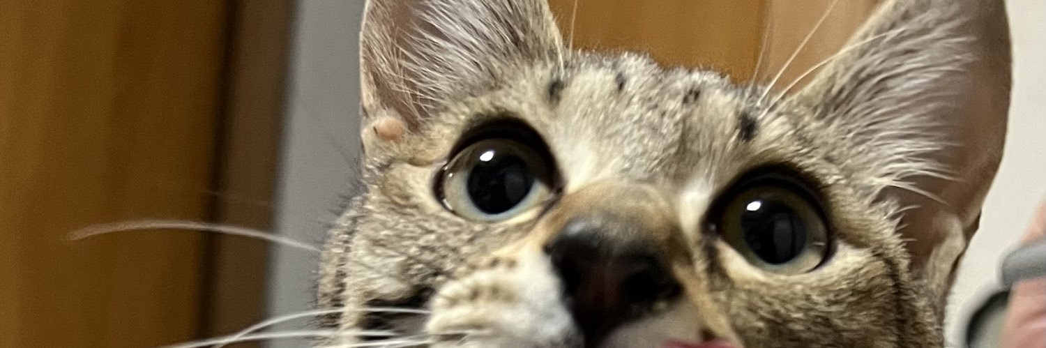 藍野芙美　自律コミカライズ配信中 banner