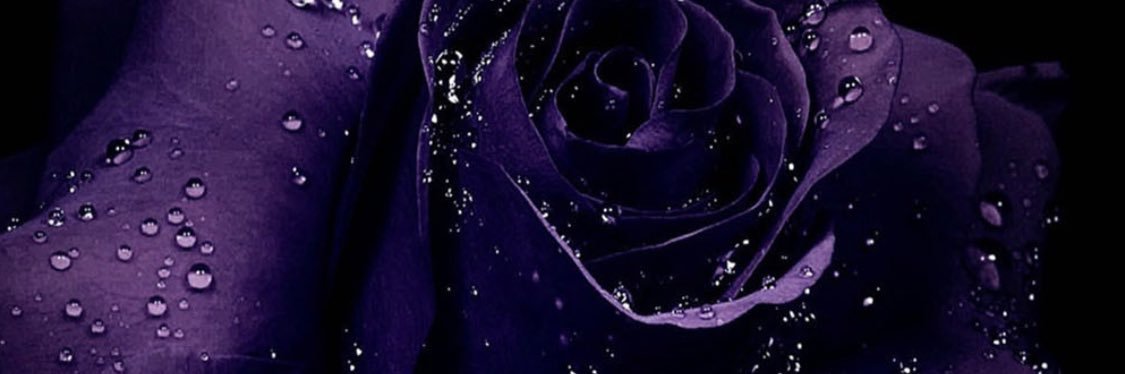 kenkeydra's profile banner image