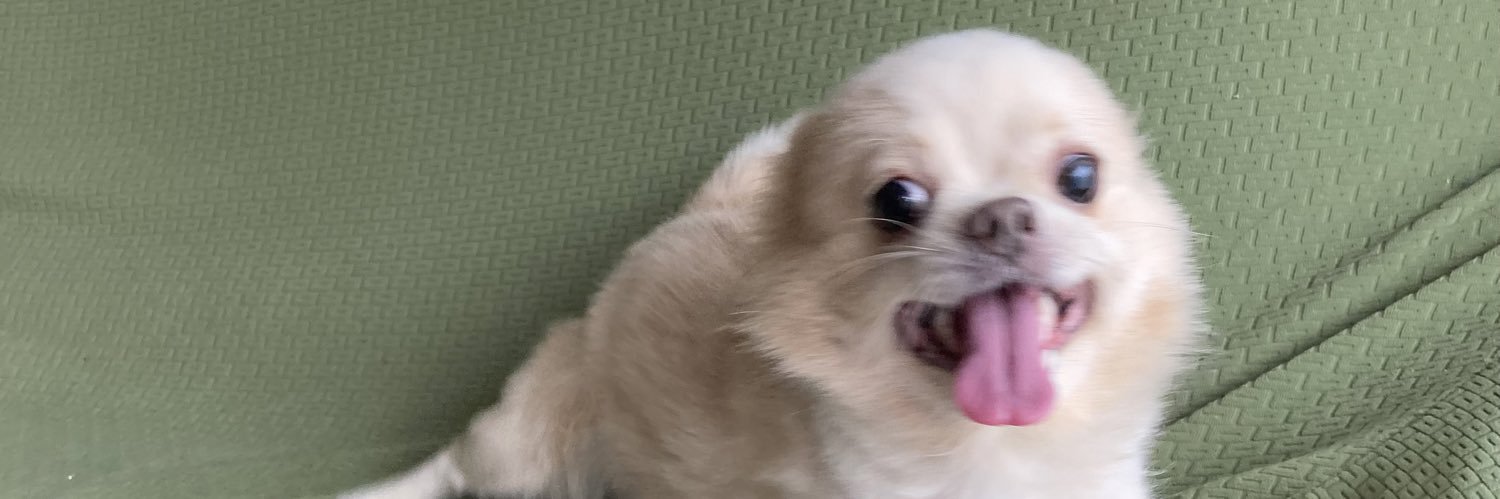 月代 来実 (log you) banner