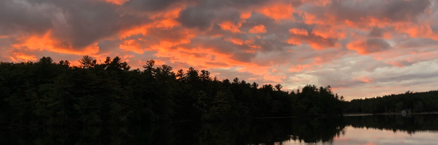 Barkleysbuddy's profile banner image