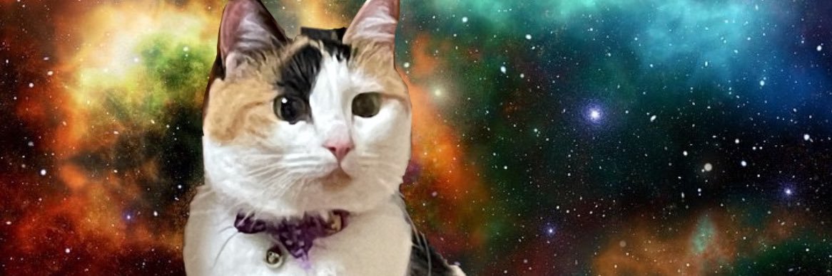 えびンプ🍙 banner