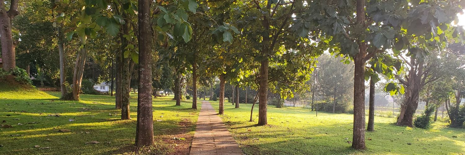 Poimen Taikijan💫 banner