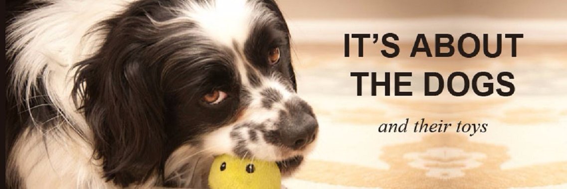 RMCockerRescue's profile banner image