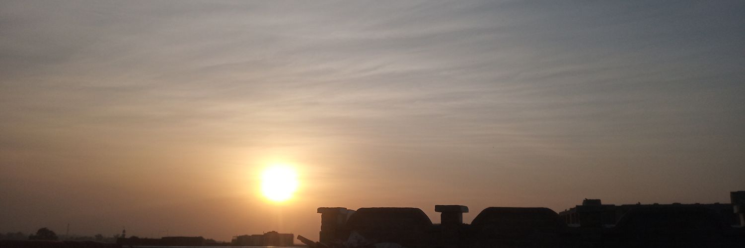sofiasandino's profile banner image