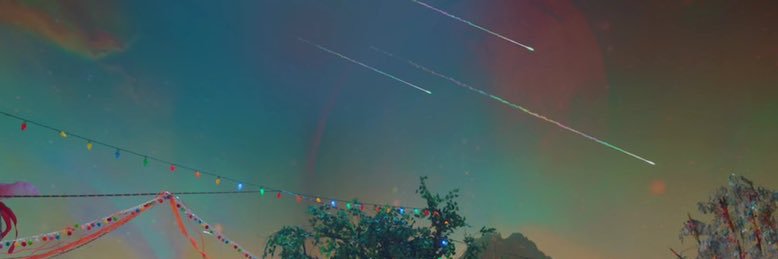 🐯♡ banner