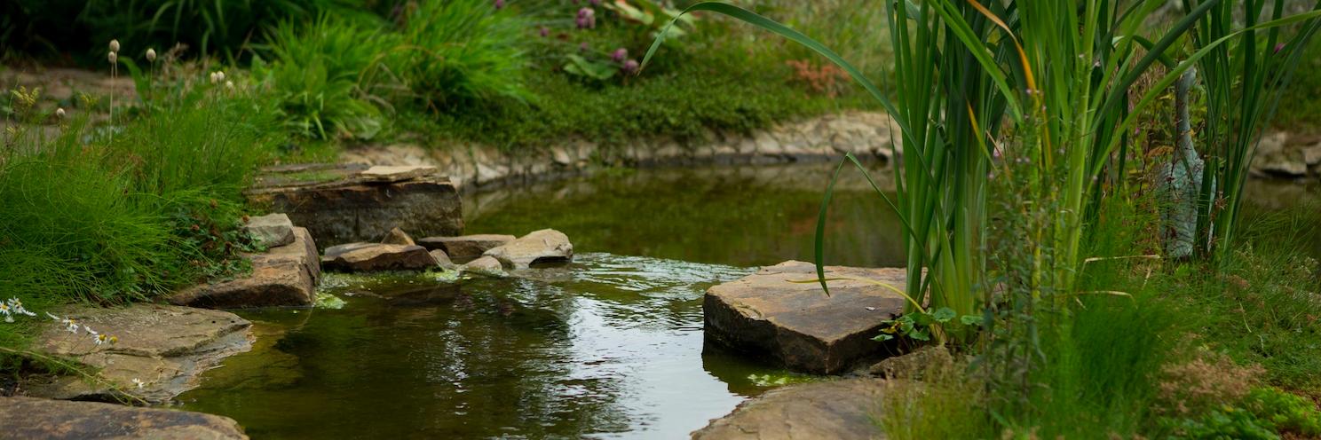 mccormacknoble banner