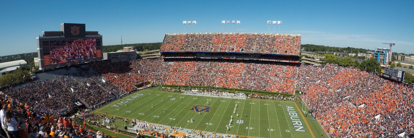 Alex Courington banner