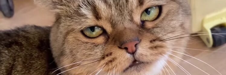 masmassleman's profile banner image