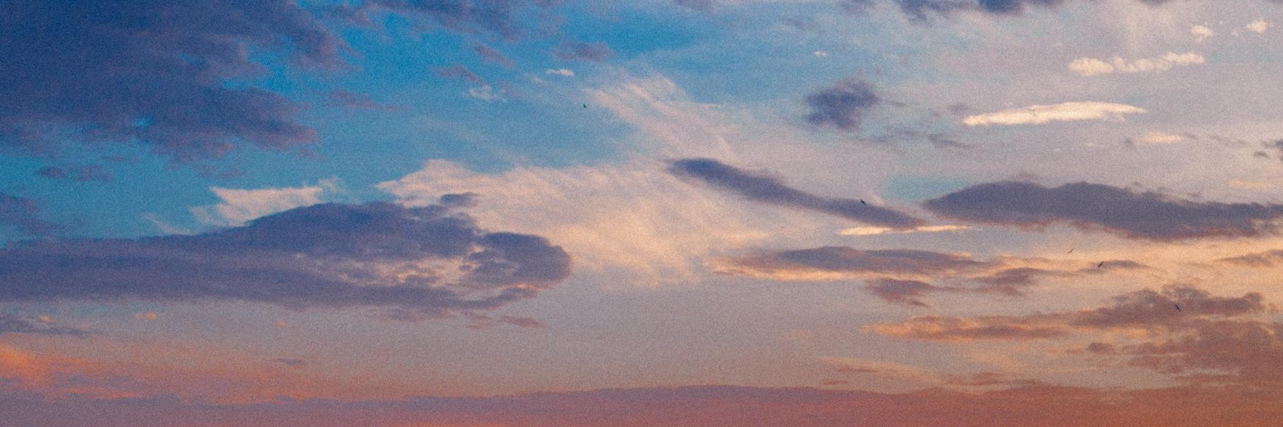 verzshal's profile banner image