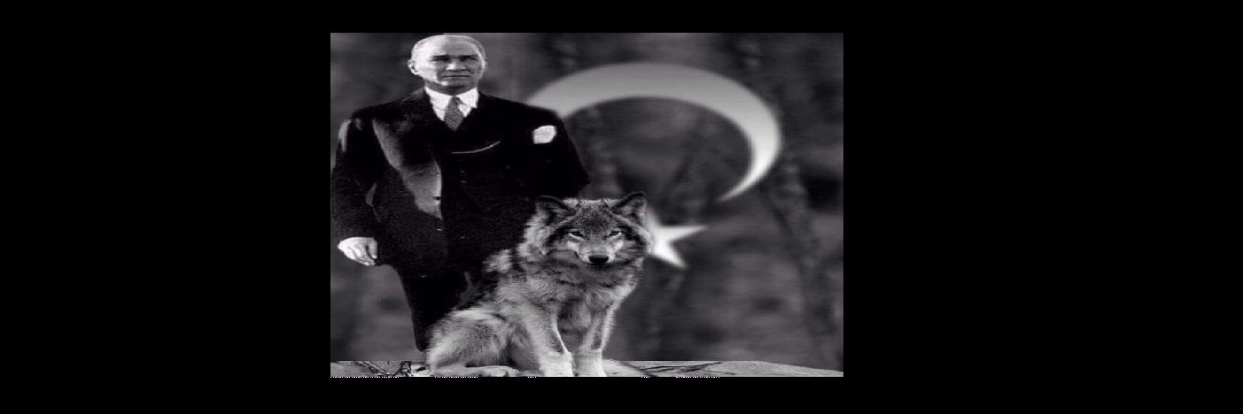 AliArasUslu's profile banner image