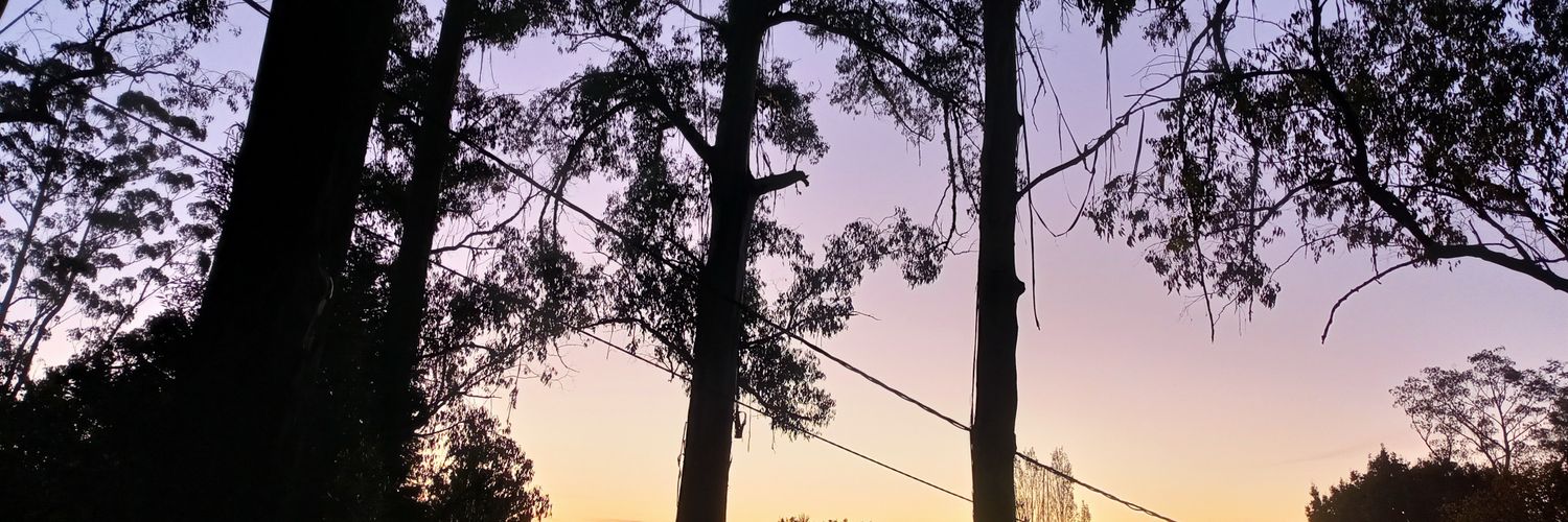 migtronix's banner