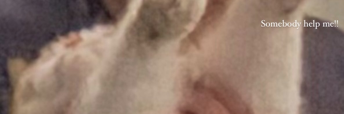 soypaspoy's profile banner image