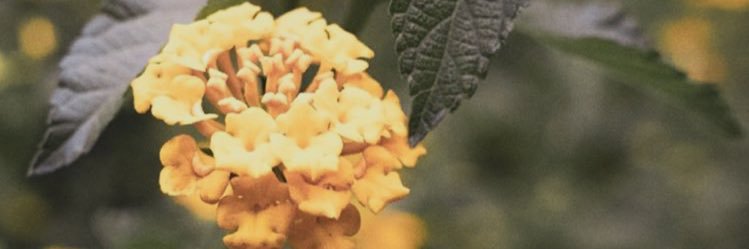 Katelandbrooke's profile banner image