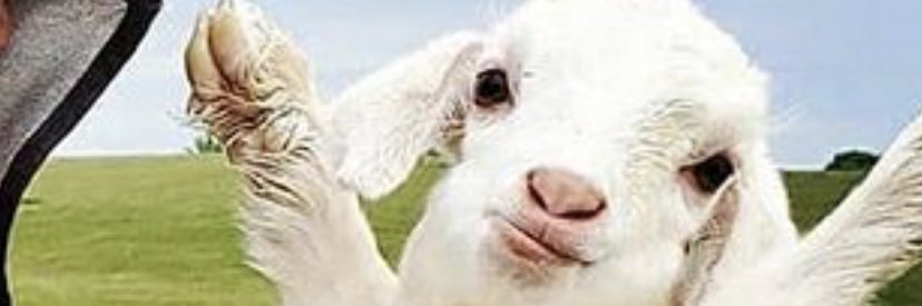 z banner